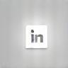 LinkedIn icon
